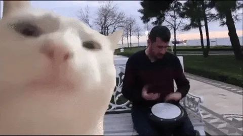 cat jam