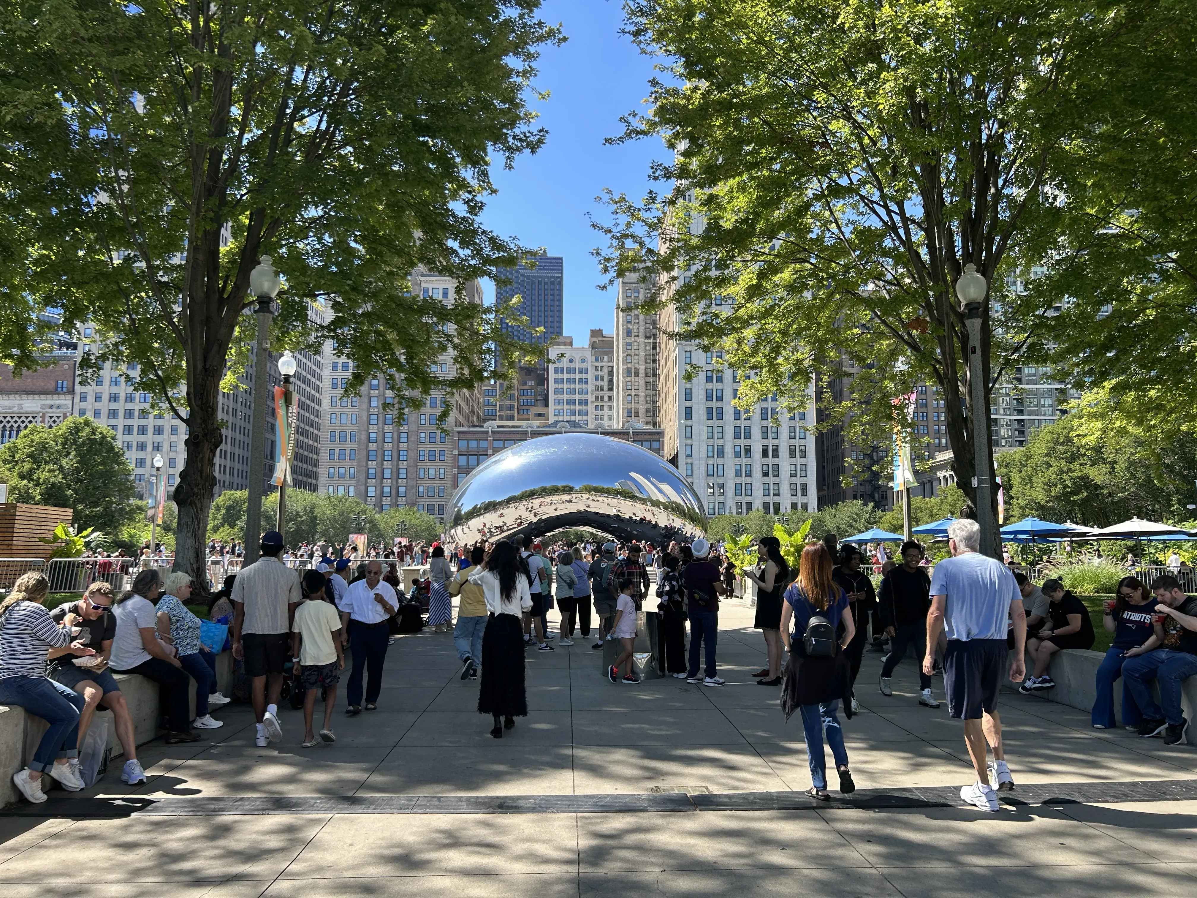 chicago cover image